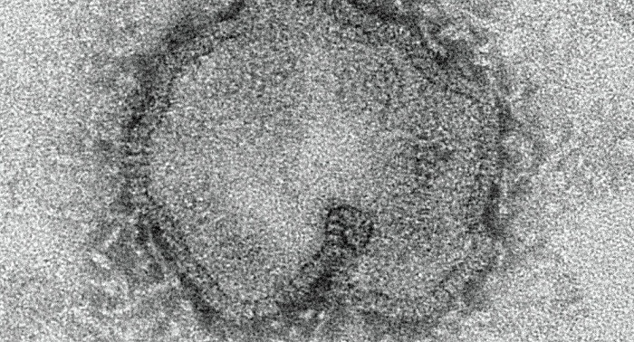 Woman infected with bird flu registered in China’s Macau Region 